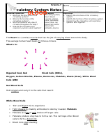 Circulatory System Notes.docx
